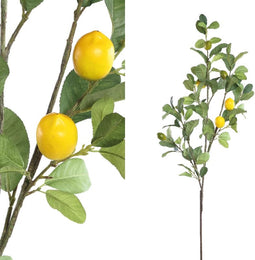 PTMD Leaves Plant Green Lemon Spray L