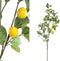 PTMD Leaves Plant Green Lemon Spray L