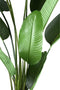 PTMD Leaves Plant Green PE Real Touch Strelitzia L