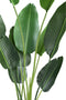 PTMD Leaves Plant Green PE Real Touch Strelitzia M