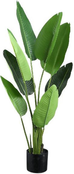 PTMD Leaves Plant Green PE Real Touch Strelitzia S