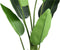 PTMD Leaves Plant Green PE Real Touch Strelitzia S