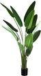PTMD Leaves Plant Green PE Real Touch Strelitzia XL