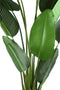 PTMD Leaves Plant Green PE Real Touch Strelitzia XL