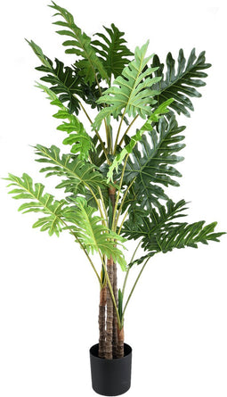 PTMD Leaves Plant Green Philodendron In Black Pot L