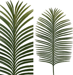 PTMD leaves plant groen palm blad steel