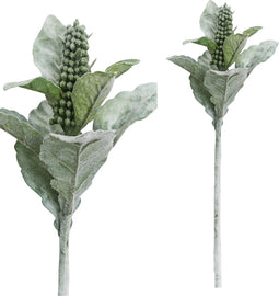 PTMD leaves plant groen soft small rabbit ear blad