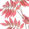PTMD Leaves Plant Heaven Tree Kunsttak - 104,5 x 30 x 140 cm - Rood