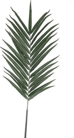 PTMD Leaves Plant Kentiapalm Kunstblad - 87 x 48 x 213 cm - Groen