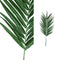 PTMD Leaves Plant Kentiapalm Kunstblad - 87 x 48 x 213 cm - Groen