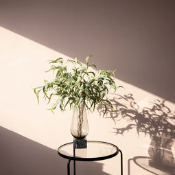 PTMD Leaves Plant Krullende Eucalyptus Kunsttak - 33x26x67 cm - Groen