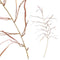 PTMD Leaves Plant Kunsttak - 62 x 40 x 117 cm - Rose/goud