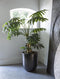 PTMD Leaves Plant Philodendron Kunstplant - H140 x Ø60 cm - Plastic pot - Groen