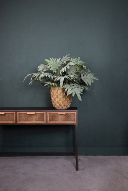 PTMD Leaves Plant Phlebodium Kunsttak - 65 x 30 x 106 cm - Groen