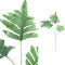 PTMD Leaves Plant Phlebodium Kunsttak - 65 x 30 x 106 cm - Groen