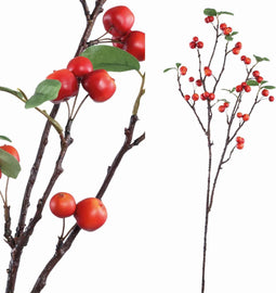 PTMD Leaves Plant Red Apple Spray With Leaves