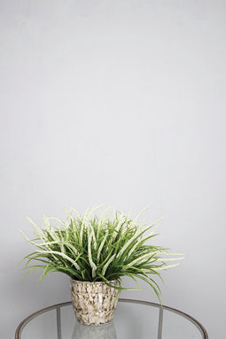 PTMD Leaves Plant Vossenstaart Bos Kunsttak - 35 x 32 x 44 cm - Groen