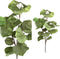 PTMD Leaves Plant Zee Grape Blad Kunsttak - 76 x 49 x 120 cm - Groen