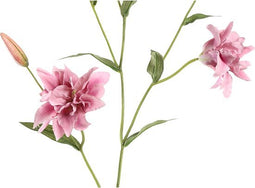 PTMD Lelie Kunstbloem - 135 x 36 x 133 cm - Kunststof - Paars