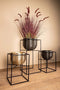 PTMD Lesley Black Brush Alu Pot On Black Iron Stand SV2