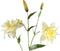 PTMD Lily Flower Yellow Double Lily Spray