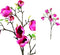 PTMD Magnolia Flower Japanse Magnolia Kunsttak - 45x42x83 cm - Roze