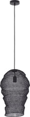 PTMD Miko Black Iron Wired Hanging Lamp See Through S