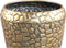 PTMD Noza Gold Zinc Croco Print Pot Round Set Of 3
