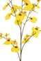 PTMD Oncidium Kunstbloem - 46 x 33 x 99 cm - Kunststof - Geel