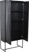 PTMD Onyx cabinet black 2 drs