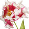 PTMD Open Tulp Flaager Kunstbloem - 7,5 x 10 x 64,5 cm - Wit/paars