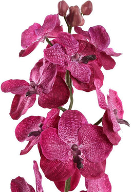 PTMD Orchidee Kunstbloem - 78 x 17 x 79 cm - Kunststof - Paars