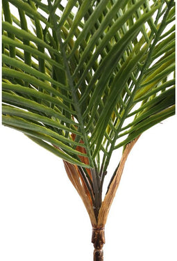PTMD Palm Bos Kunsttak - 40 x 48 x 50 cm - Kunststof - Groen