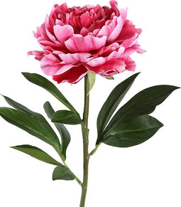 PTMD Peony Flower Pioenroos Prikker - 25 x 18 x 66 cm - Donkerroze