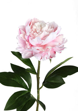 PTMD Peony Flower Pioenroos Prikker - 25 x 18 x 66 cm - Lichtroze