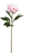 PTMD Peony Flower Pioenroos Prikker - 25 x 18 x 66 cm - Lichtroze