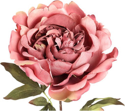 PTMD Pioen Kunstbloem - 30 x 25 x 88 cm - Kunststof - Roze