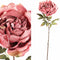 PTMD Pioen Kunstbloem - 30 x 25 x 88 cm - Kunststof - Roze