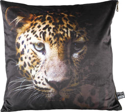 PTMD Raf Vierkant Kussen Panter - 45 x 10 x 45 cm - Velvet - Bruin