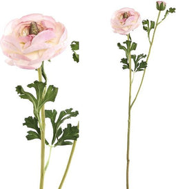 PTMD Ranonkel Kunstbloem - 30 x 20 x 71 cm - Lichtroze