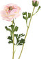 PTMD Ranonkel Kunstbloem - 30 x 20 x 71 cm - Lichtroze