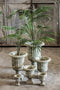PTMD Roger groene cement pot op voet wijd rond maat in cm: 29 x 29 x 40 - Groen