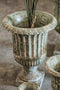 PTMD Roger groene cement pot op voet wijd rond maat in cm: 29 x 29 x 40 - Groen