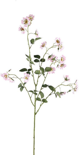 PTMD Rose Flower Pink Wild Rose Spray With Leaves