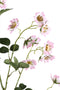 PTMD Rose Flower Pink Wild Rose Spray With Leaves