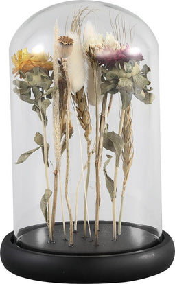 PTMD - Rossa Clear - Stolpen - Clear