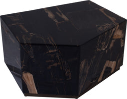 PTMD Salontafel Rayn Versteend Hout Zwart M