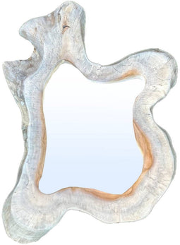 PTMD Spiegel Hyro - 50x10x55 cm - Hout - Naturel