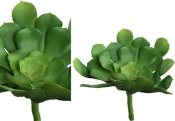 PTMD Succulent Aeoniumpluk Kunstplant - 10 x 17 x 17 cm - Groen