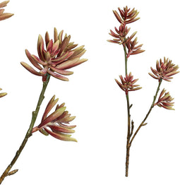 PTMD Succulent Aloe Plicatilistak Kunstplant - 31 x 10 x 49 cm - Rood